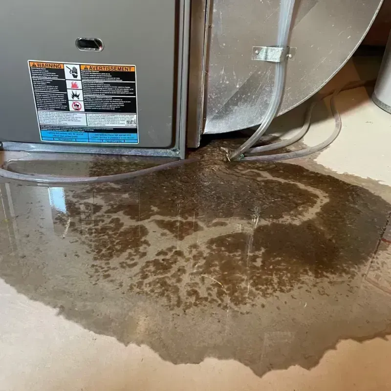 Appliance Leak Cleanup in Barry, IL